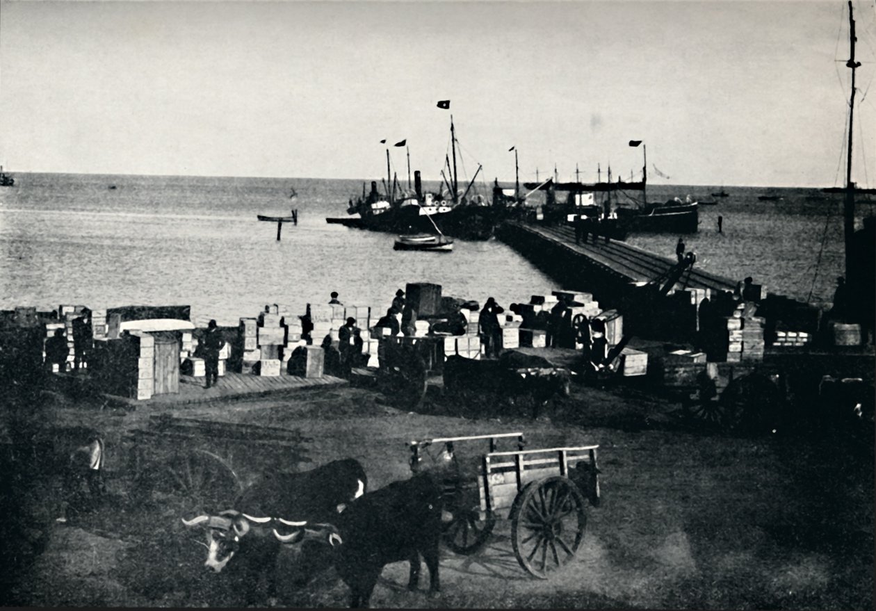 Landningsplats, Punta Arenas, 1911 av Unbekannt