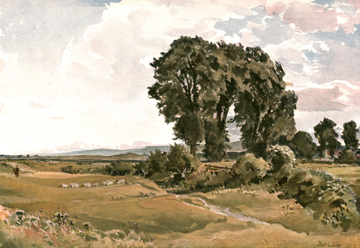 Landskap, nära Wareham, Dorset - an Outdoor Sketch, c1900. av Unbekannt