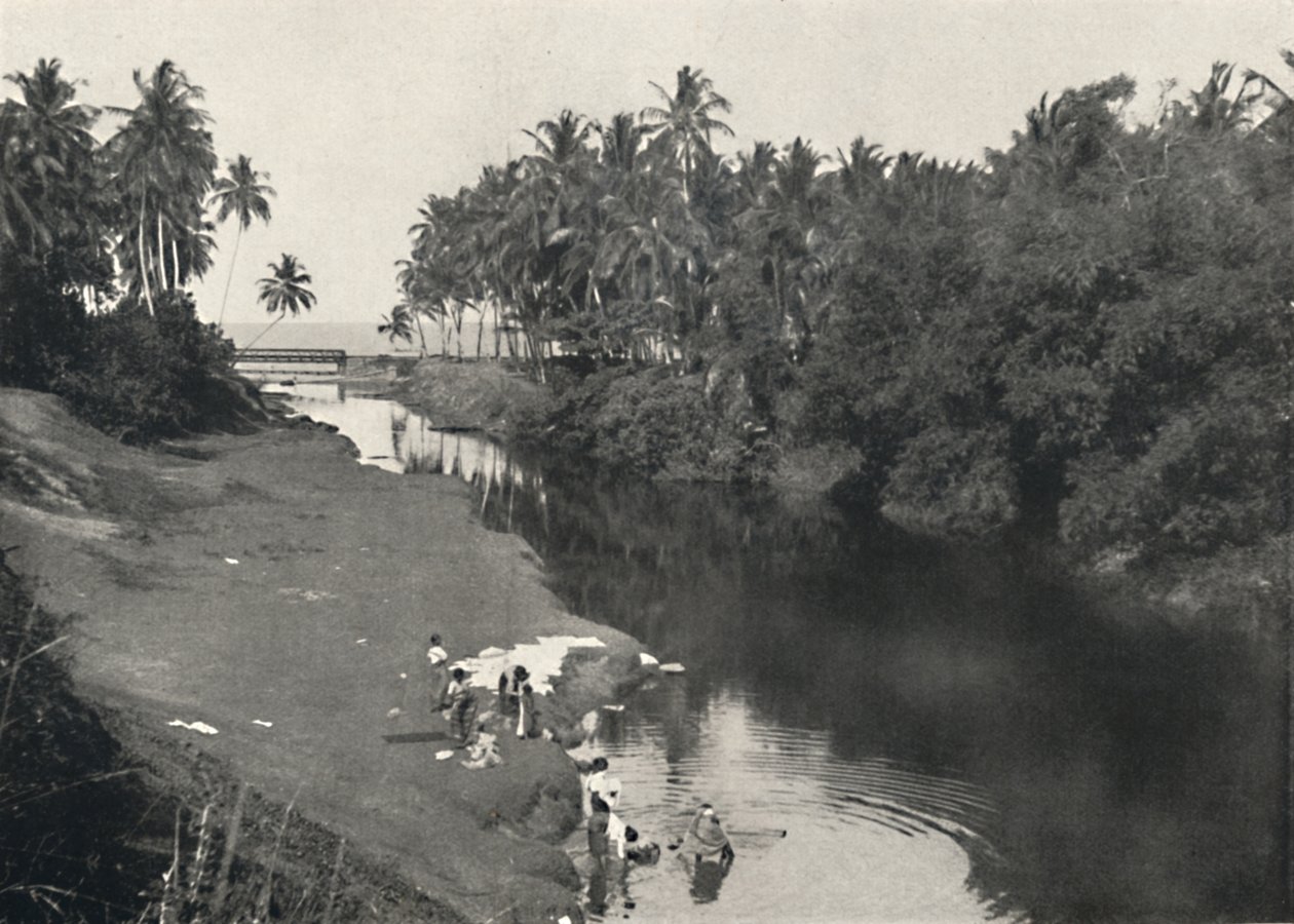 Flodlandskap vid Dehiwala, mellan Colombo och Mount Lavinia, 1926 av Unbekannt