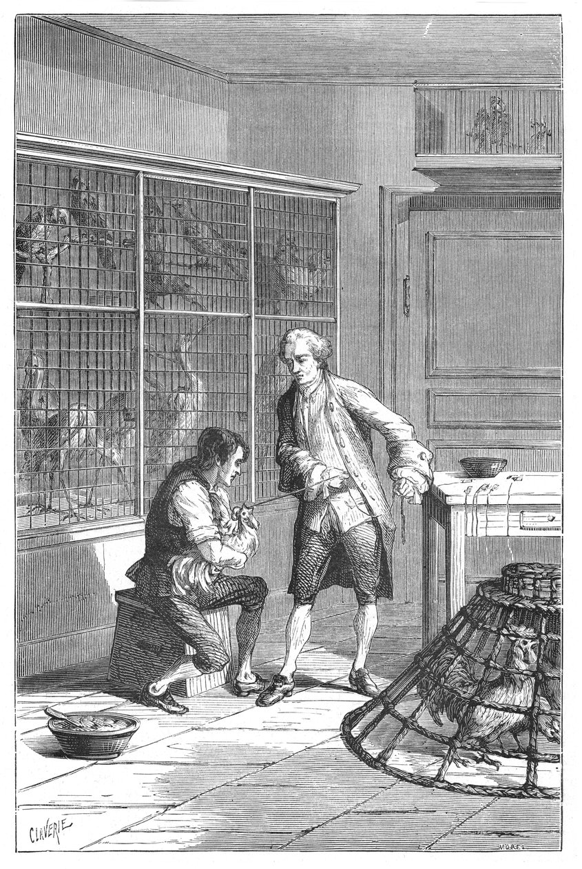 Lazaro Spallanzani, italiensk naturforskare och biolog från 1700-talet, 1874 av Unbekannt