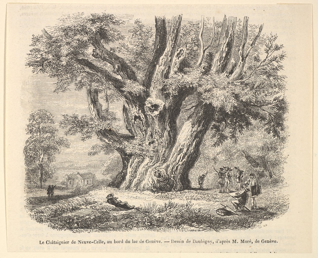 Kastanjen i Neuve-Celle, vid Genèvesjöns strand, efter Daubigny, 1835-78. av Unbekannt