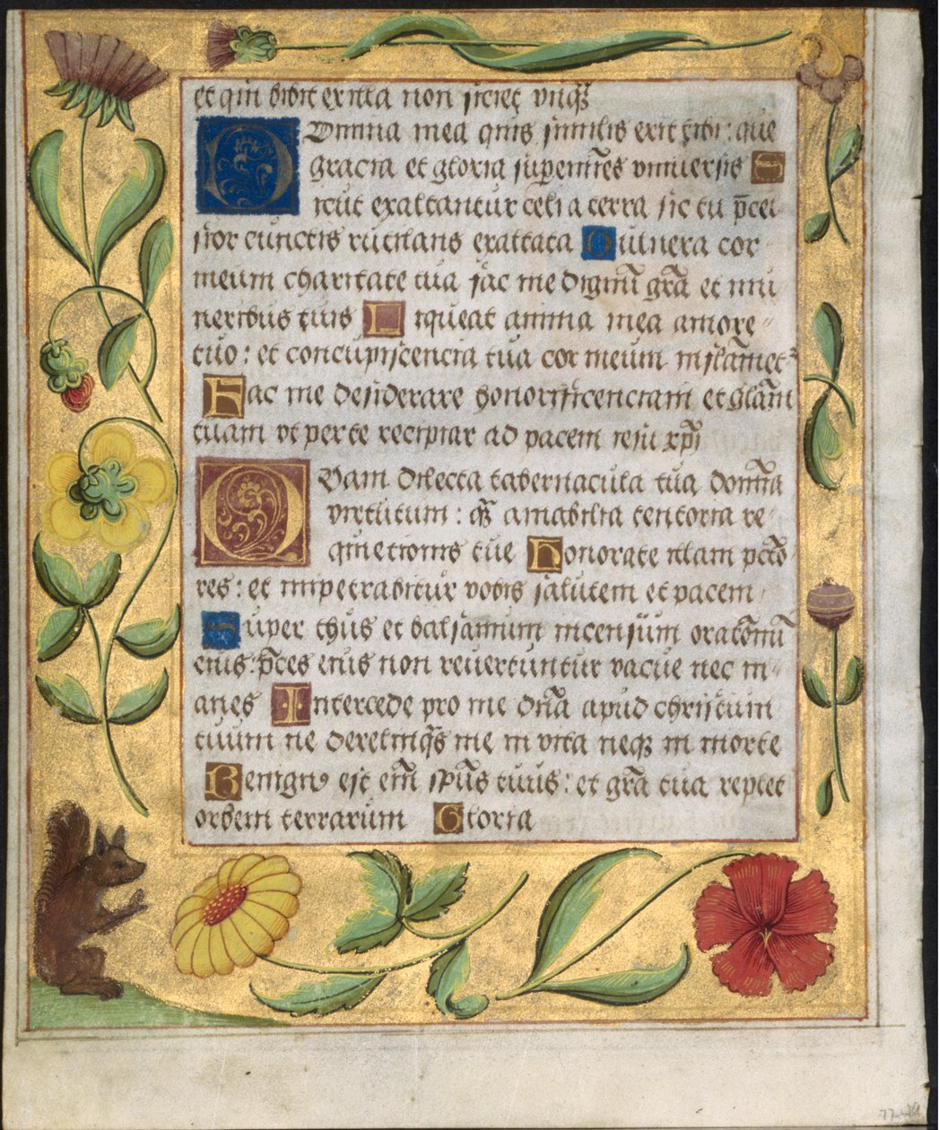 Blad från en psaltare och bönbok: Ornamental Border with Flowers and Squirrel verso, ca. 1524. av Unbekannt