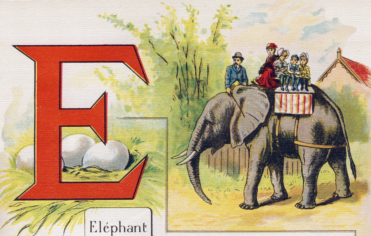 Bokstaven E: Elefant. Gravyr i "ABC L