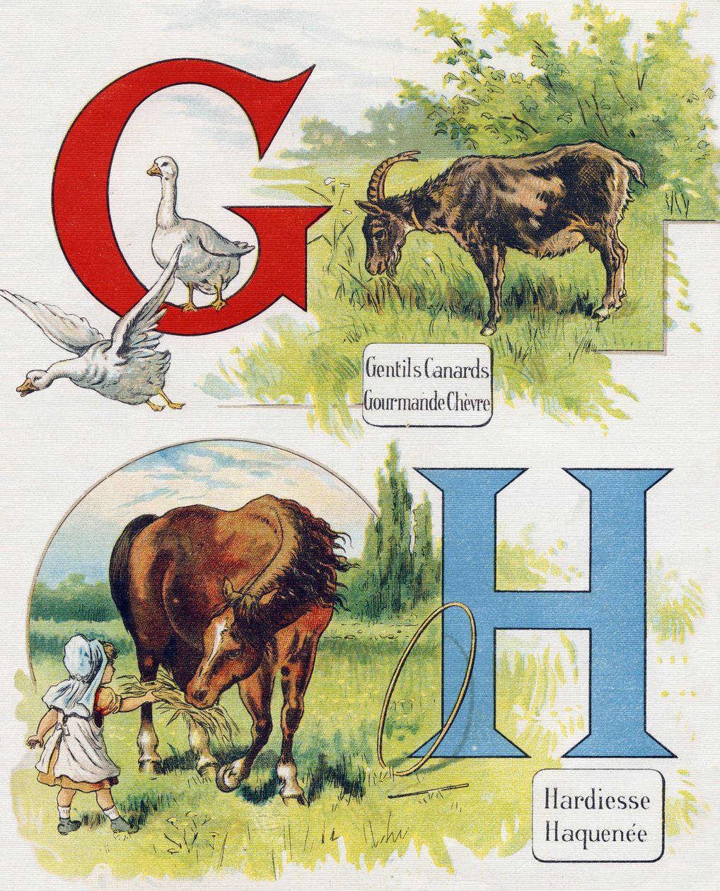 Bokstaven G och H: Goda ankor, girig get, djärvhet och Haquenee. Gravyr i "ABC L