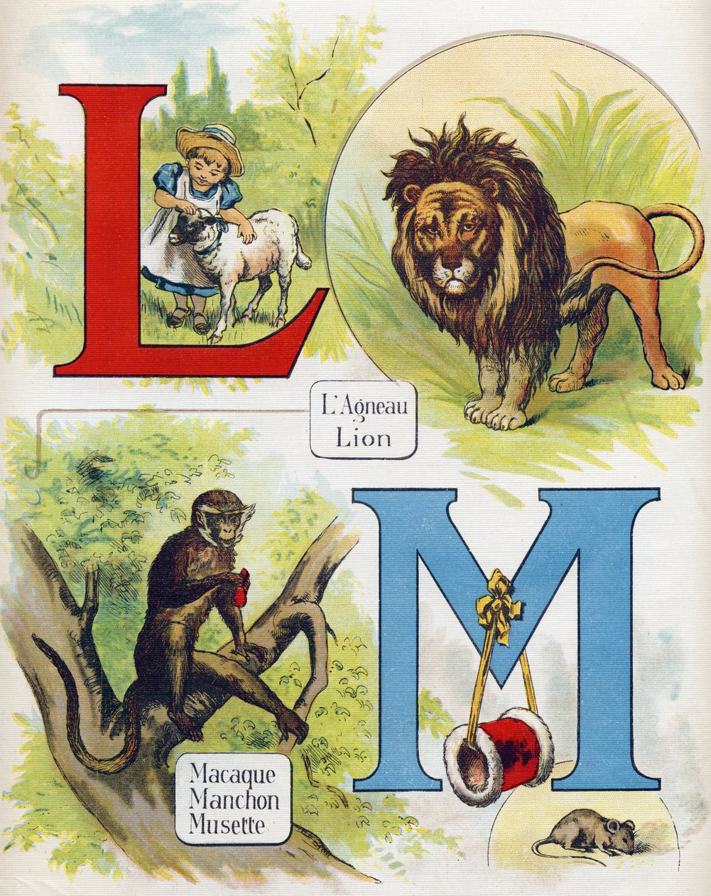 Bokstäver L och M: lamm och lejon, makak, ärm och musette. Gravyr i "ABC L