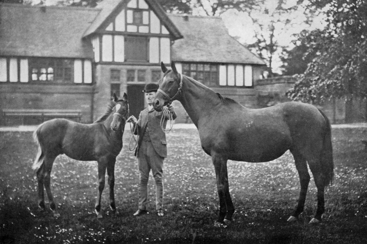 Lily Agnes, med Orelio av Bend Or, vinnare av £4955, 1894 1938 av Unbekannt