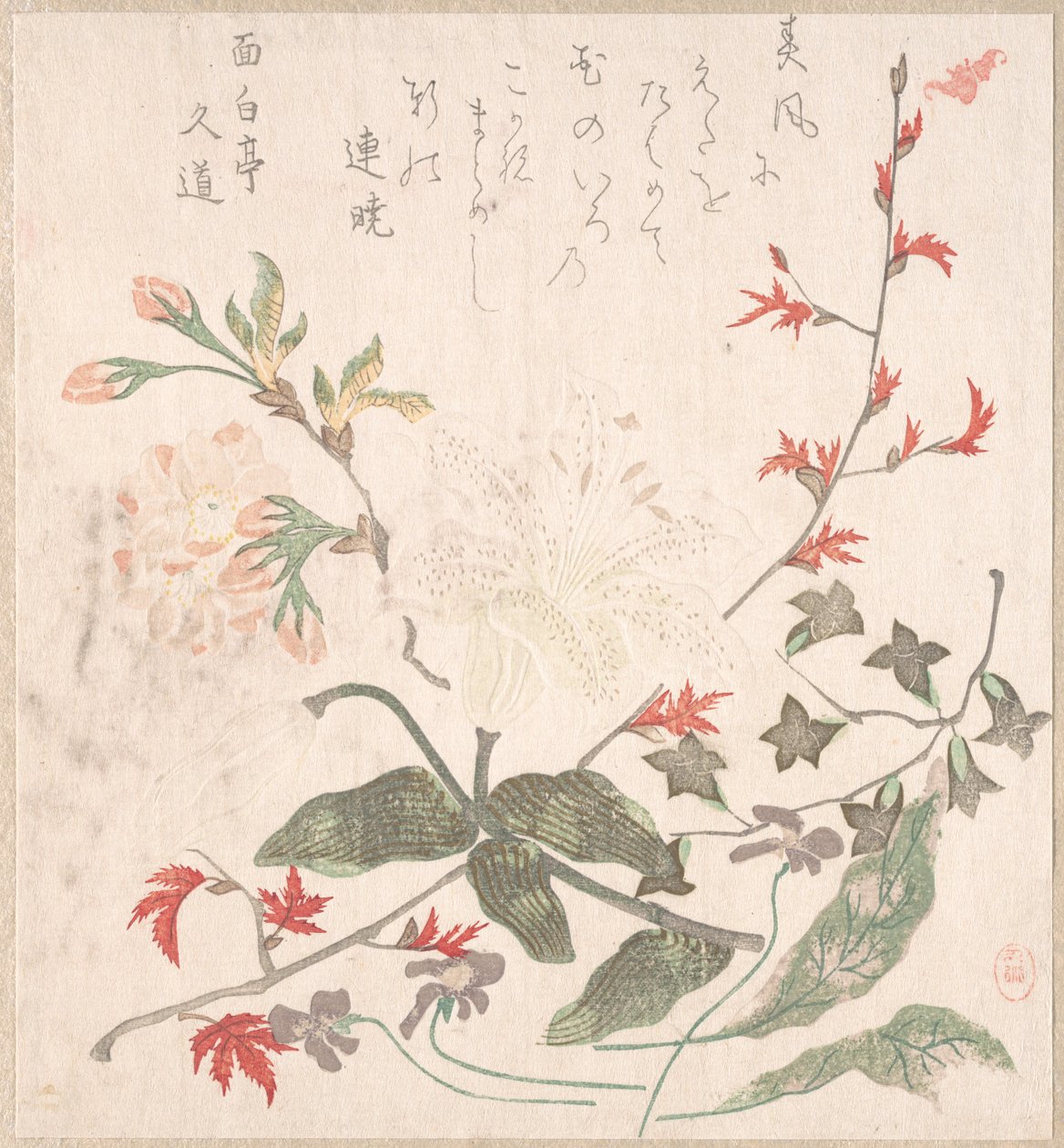 Lilja, viol, körsbärsblommor, Forsythia och en gren av röd lönn, 1700-1800-talet. av Unbekannt