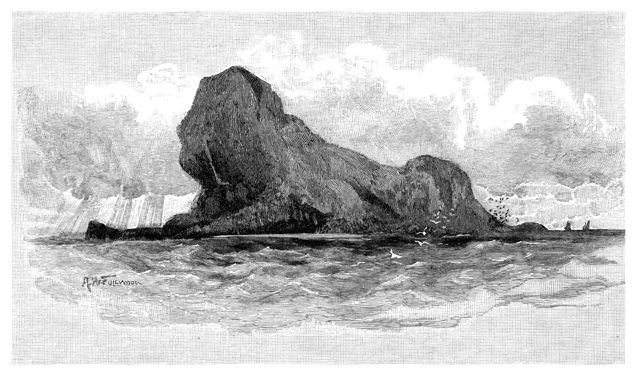Lion Island, Australien, 1886 av Unbekannt