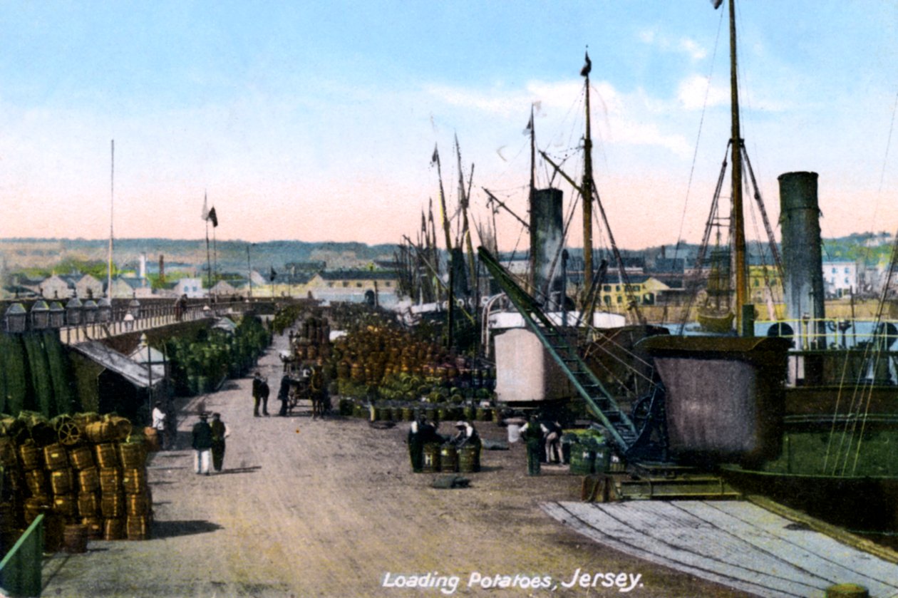 Laddar potatis, Jersey, 1908 av Unbekannt