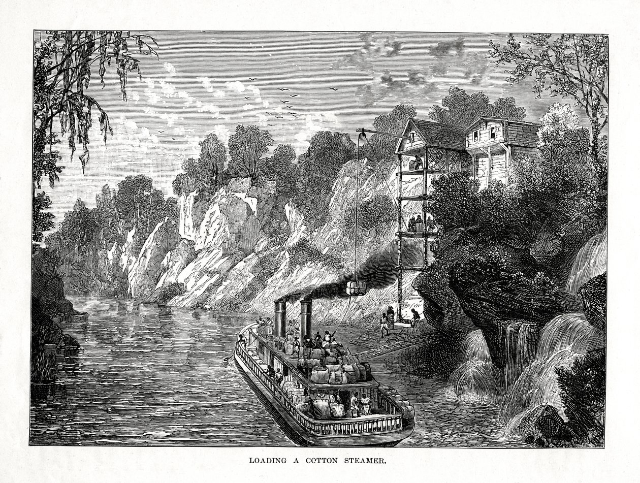 Lastar en bomullsångare, 1877 av Unbekannt