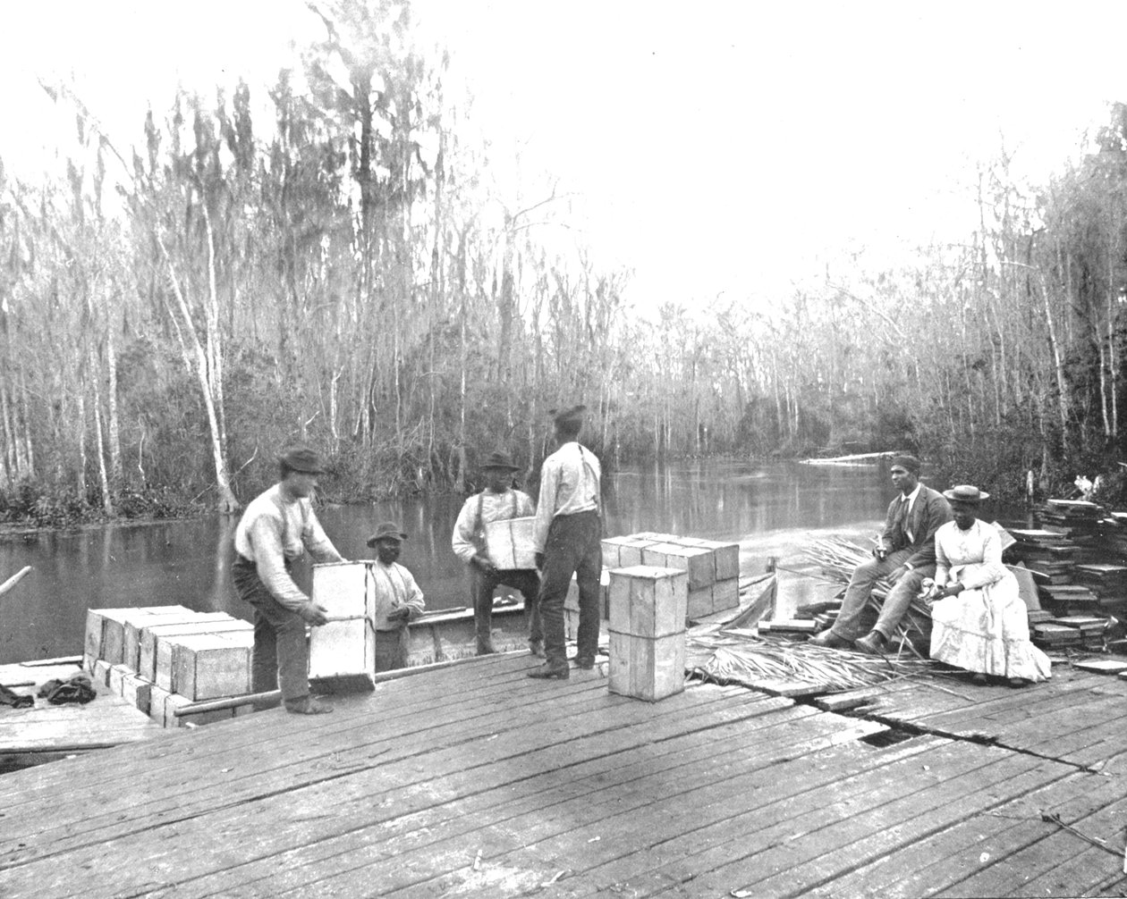 Laddar apelsiner på Ocklawaha River, Florida, USA, c1900. av Unbekannt