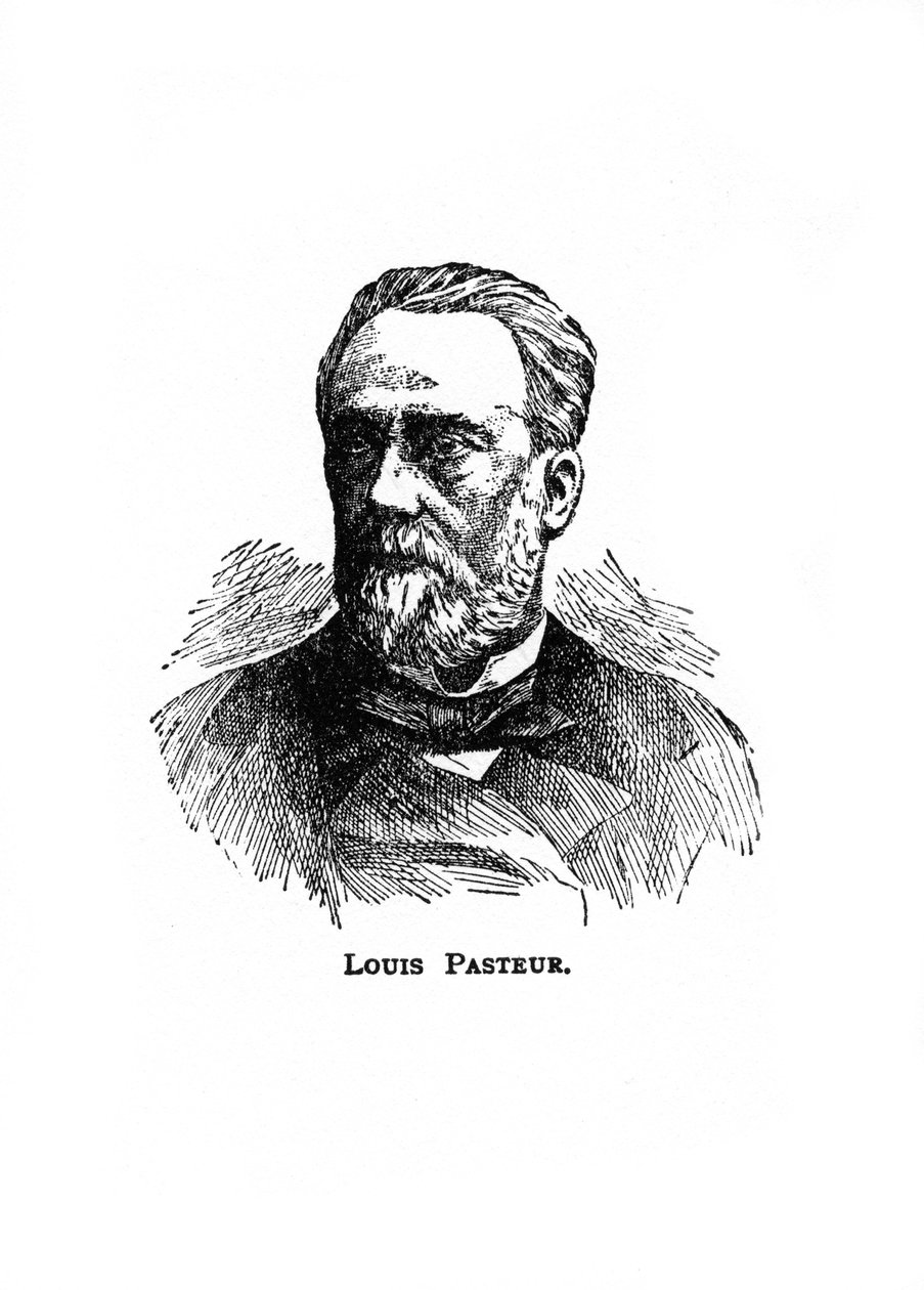 Louis Pasteur, fransk mikrobiolog och kemist från 1800-talet, 1900-talet av Unbekannt