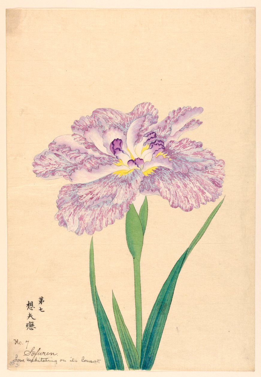 Love Meditating on Its Consort (Sofuren), nr 7, ca. 1910 av Unbekannt