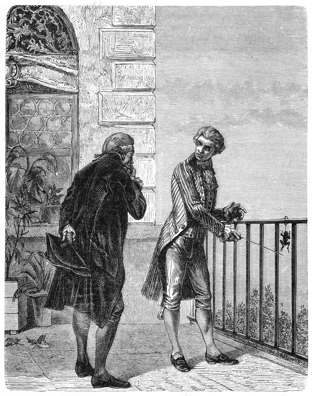 Luigi Galvani, italiensk fysiolog från 1700-talet, 1880 av Unbekannt