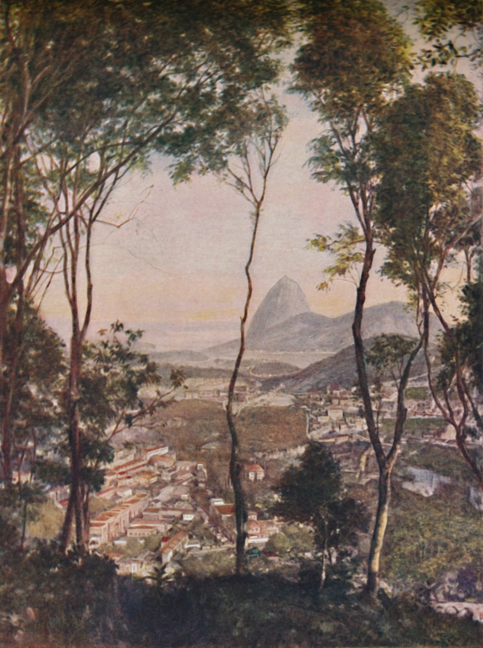 Frodig skog på kullen Santa Thereza ser ner på taken i Lapa, c1935 av Unbekannt