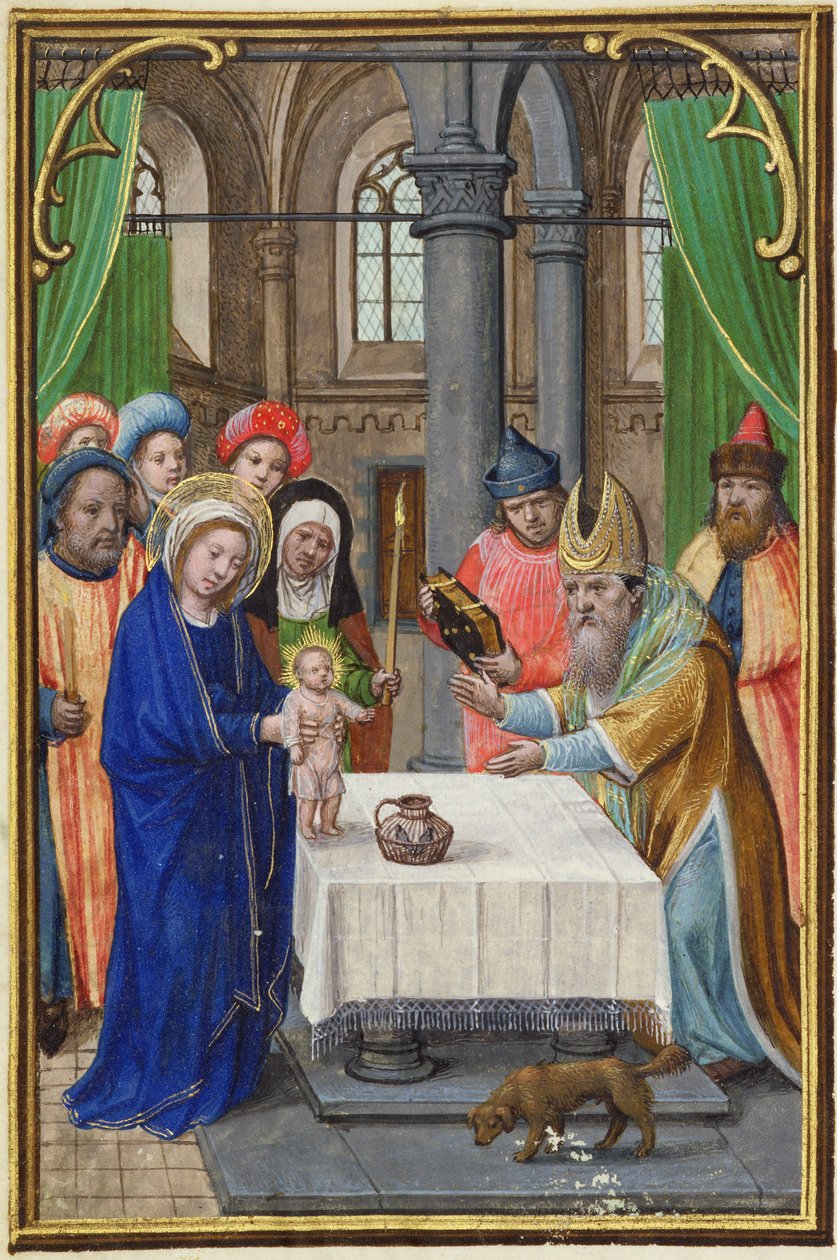 MS.257A Presentationen i templet, från en bönebok, tidigt 1500-tal (manuskript) av Unbekannt