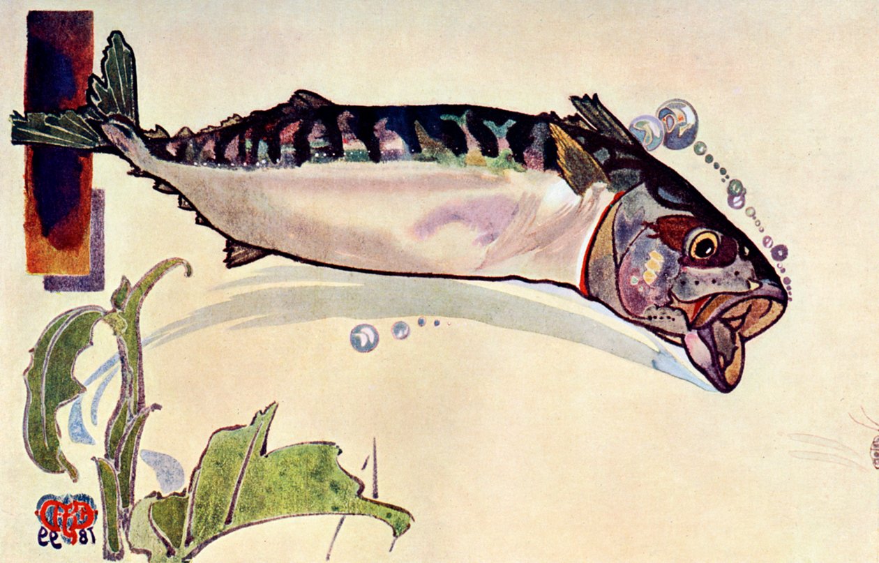 Makrill, 1900 av Unbekannt
