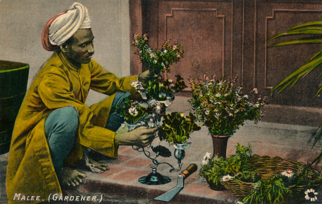 Trädgårdsmästare, c1900 av Unbekannt