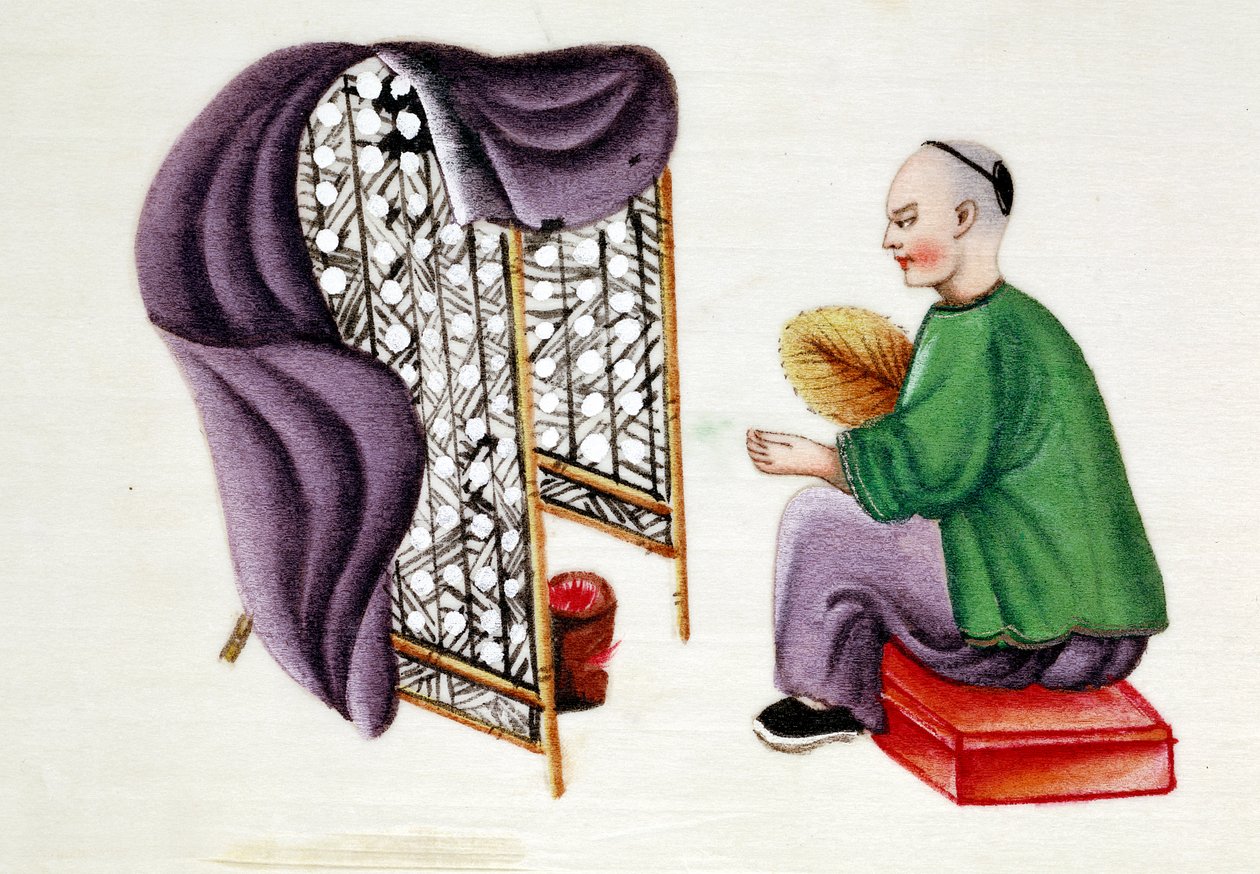 Man som torkar silkesmaskskokonger, 1800-talet av Unbekannt