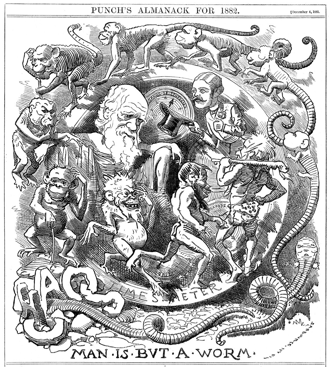 Man is but a Worm, tecknad serie från Punch som visar utvecklingen från mask till människa, 1881 av Unbekannt