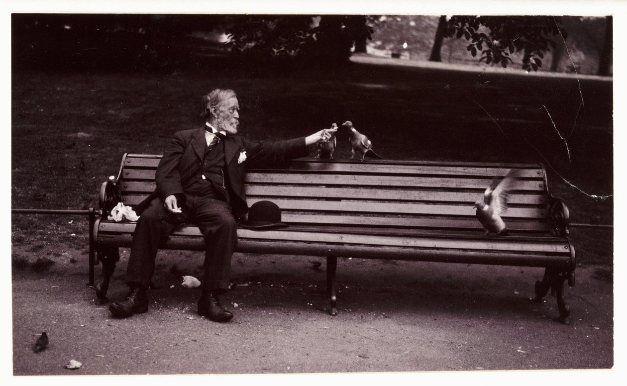 Man på en parkbänk, c 1920 En ögonblicksbild av en man som sitter på en parkbänk och matar duvor, taget av en okänd fotograf omkring 1920 av Unbekannt