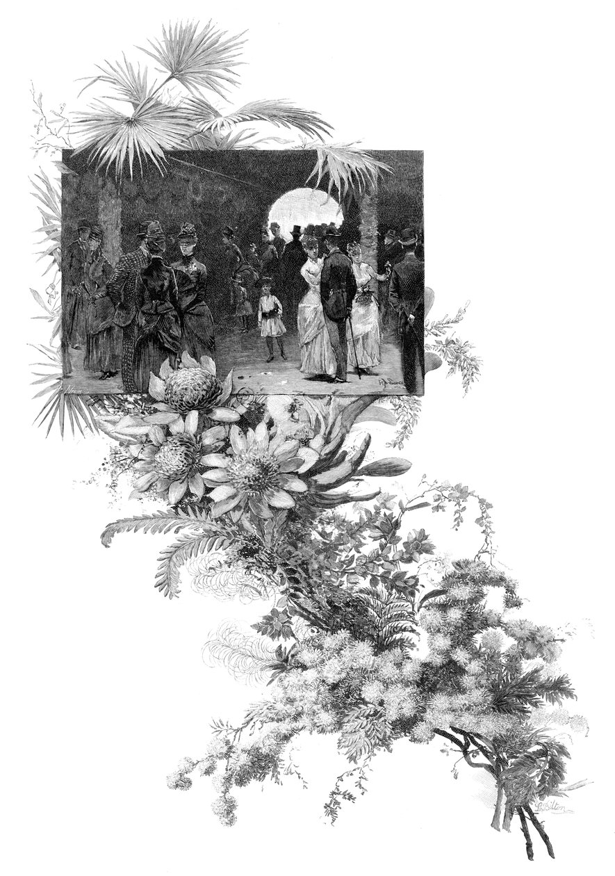 Manly wild flower show, Sydney, New South Wales, Australien, 1886 av Unbekannt