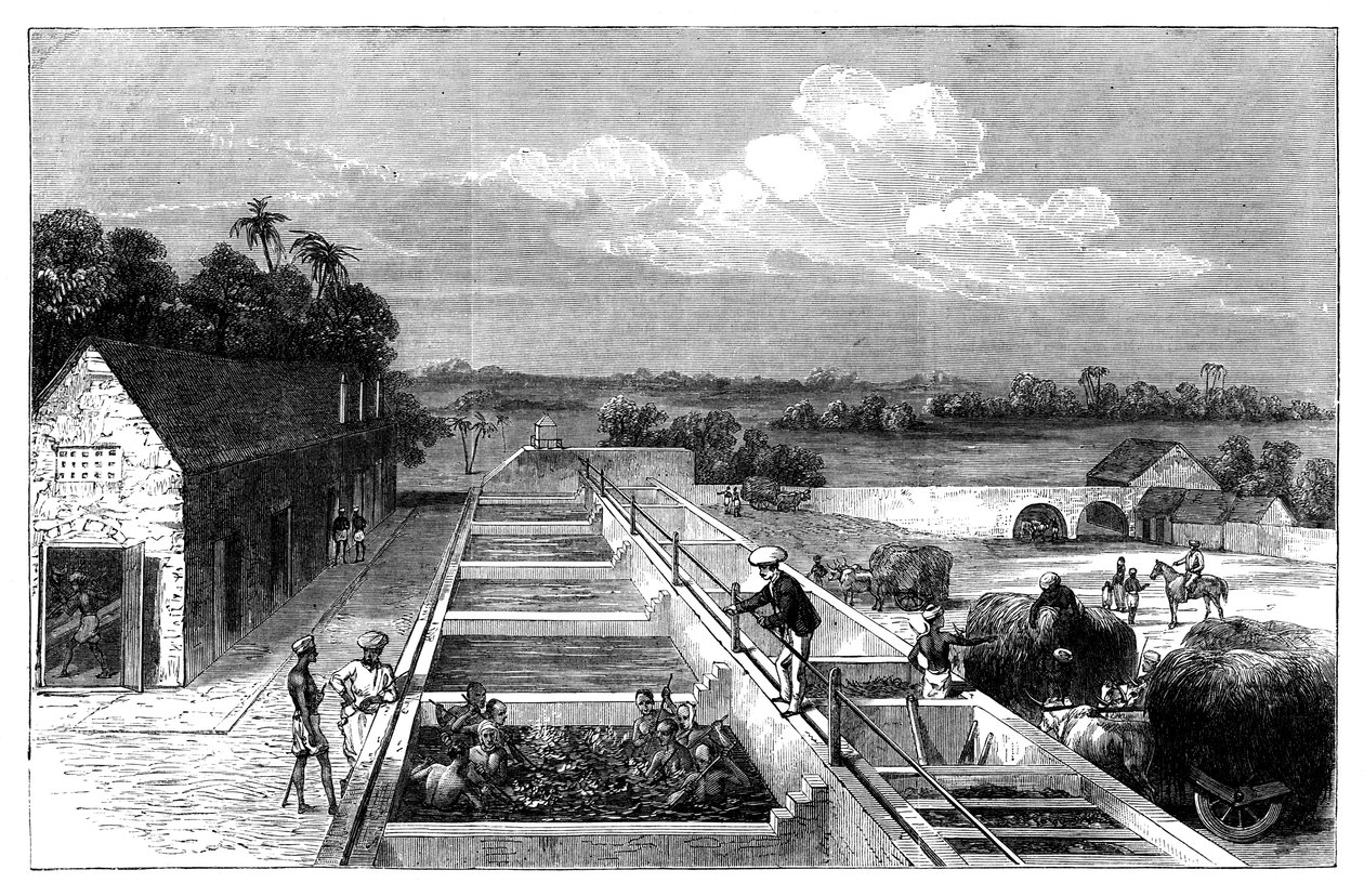 Tillverkar indigo i Tirhoot Muzaffarpur, Nedre Bengalen, 1869 av Unbekannt