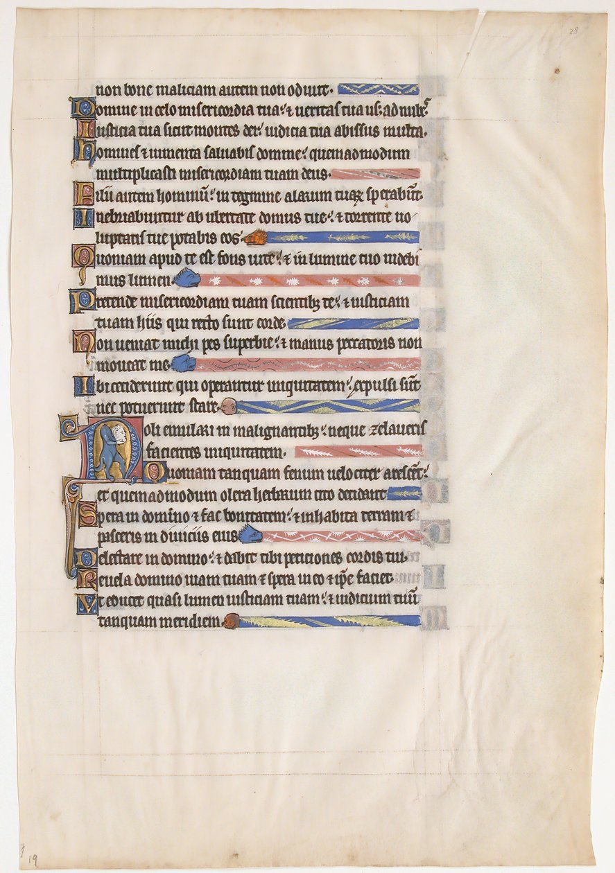 Manuskriptblad från en kunglig psalter, brittiskt, 1200-tal. av Unbekannt