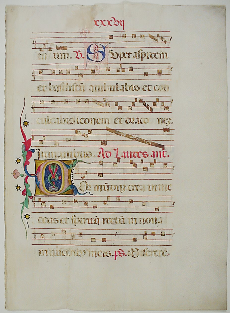 Manuskriptblad med initial C, från ett antifonarium, italienskt, 1400-tal. av Unbekannt