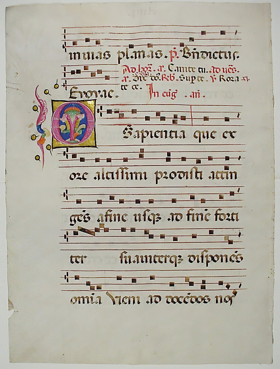 Manuskriptblad med initial O, från ett antifonarium, italienskt, 1400-tal. av Unbekannt