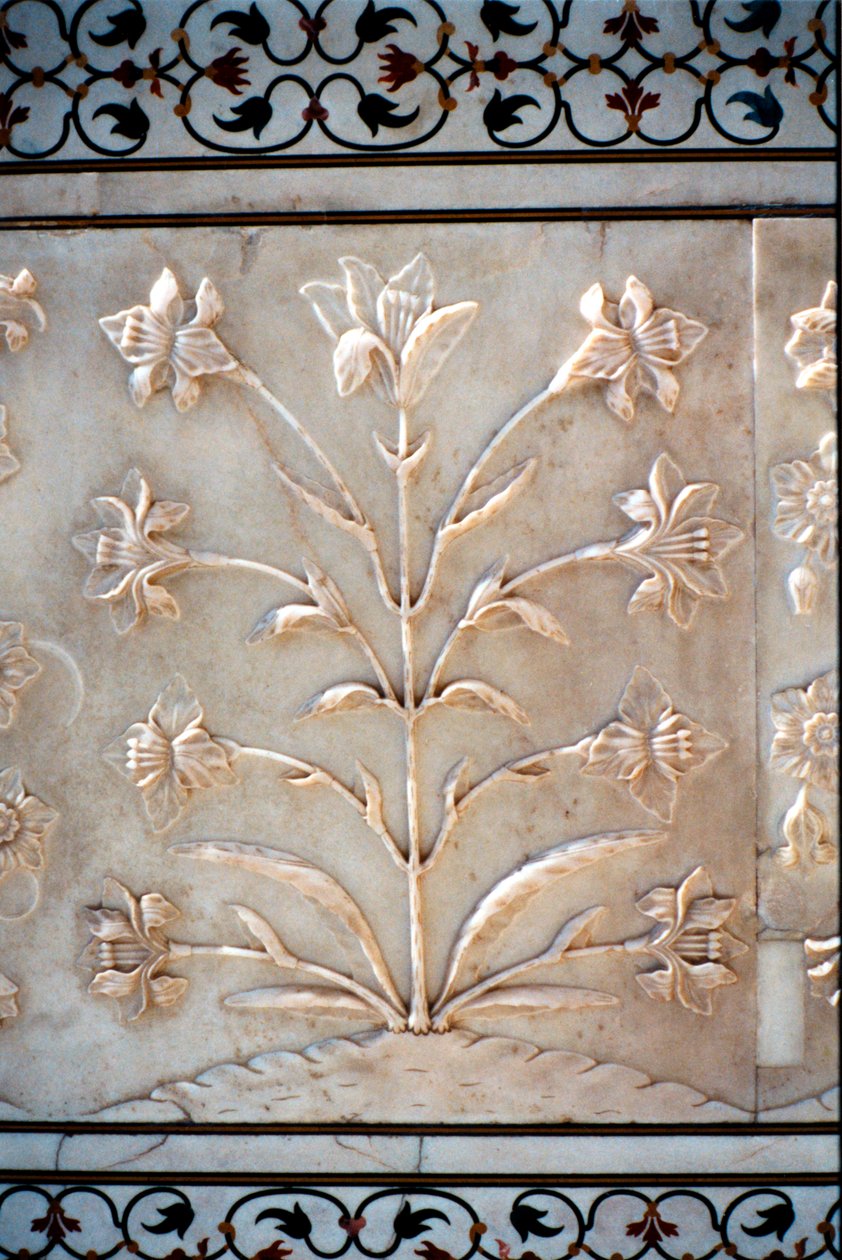 Marmorsnideri av formaliserad lilja, Taj Mahal, Agra, Indien, 1600-talet av Unbekannt