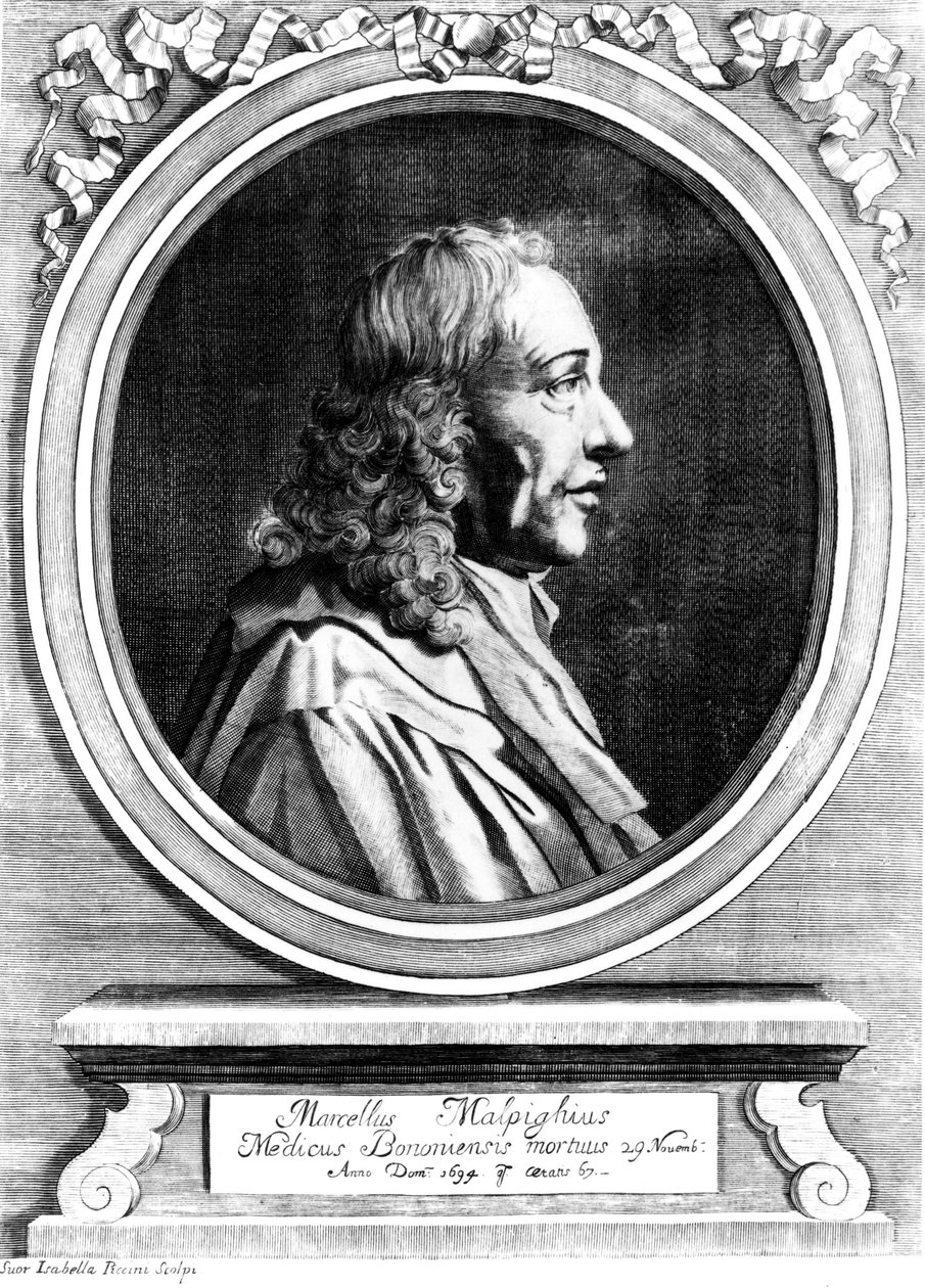 Marcello Malpighi, italiensk medicinsk pionjär, ca 1870 av Unbekannt