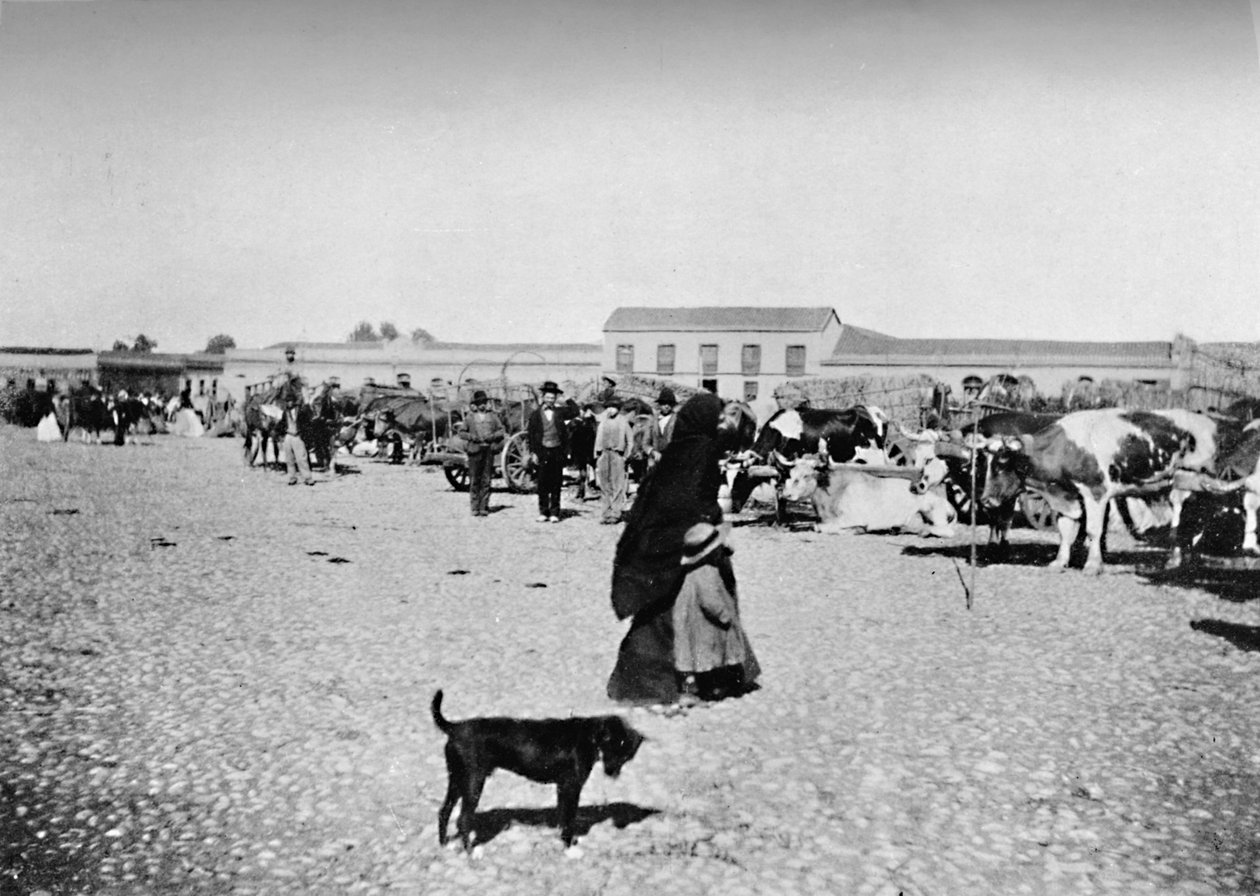 Marknadsdag i Chillan, 1911 av Unbekannt