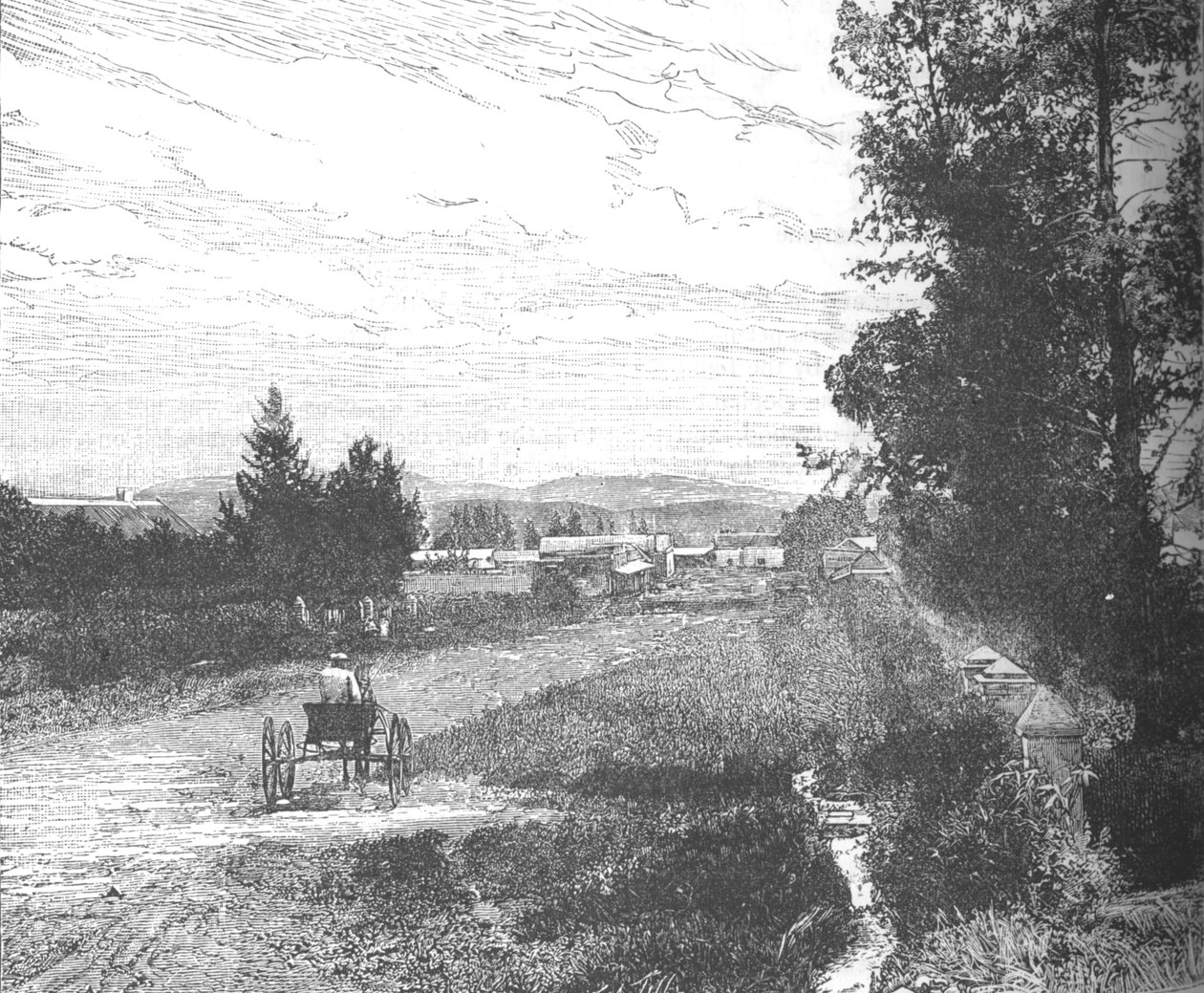 Market Street, Pretoria, ca 1880-talet av Unbekannt