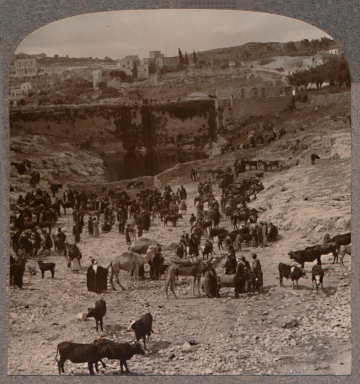 Marknadsdag vid Gihons pool, c1900 av Unbekannt