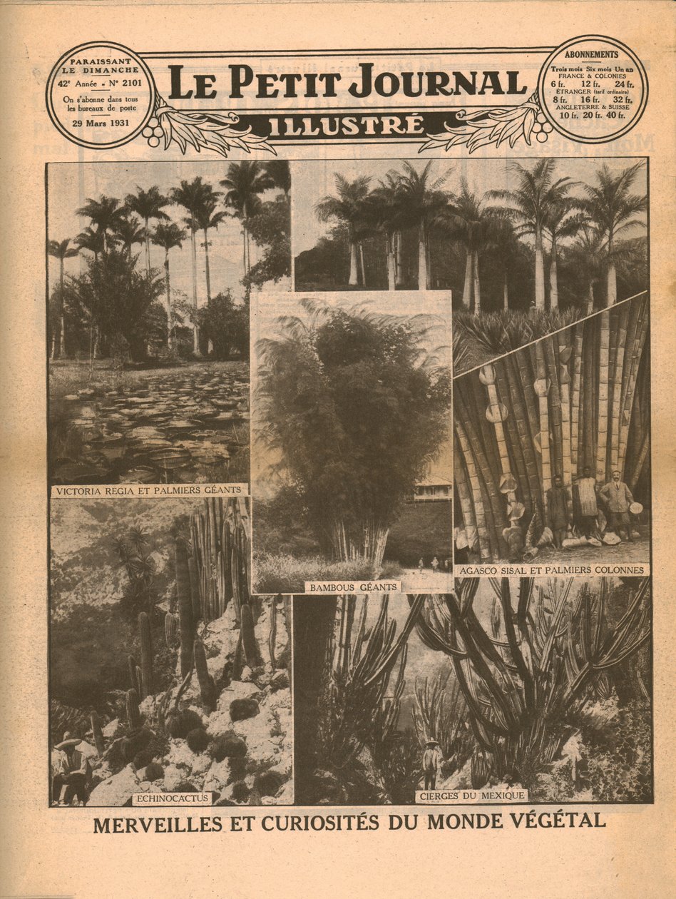 Underverk och kuriosa i växtvärlden, 1931. av Unbekannt