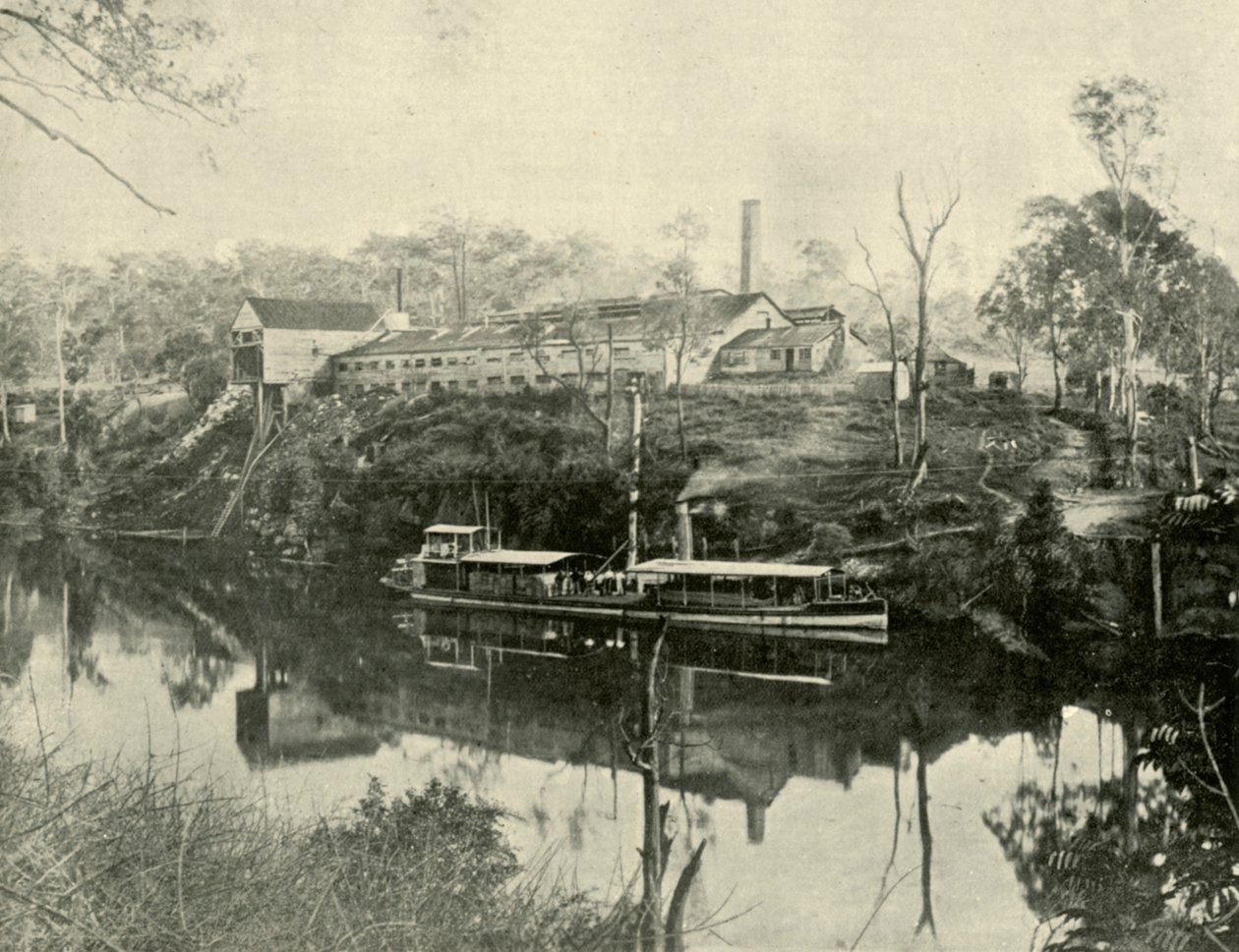 Meat Works, nära Grafton, New South Wales, 1901. av Unbekannt