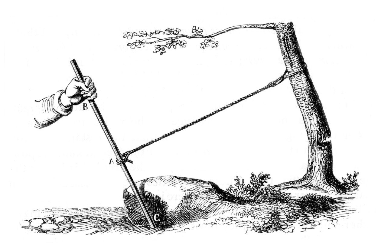 Mekanisk fördel: Spakens kraft, 1877 av Unbekannt