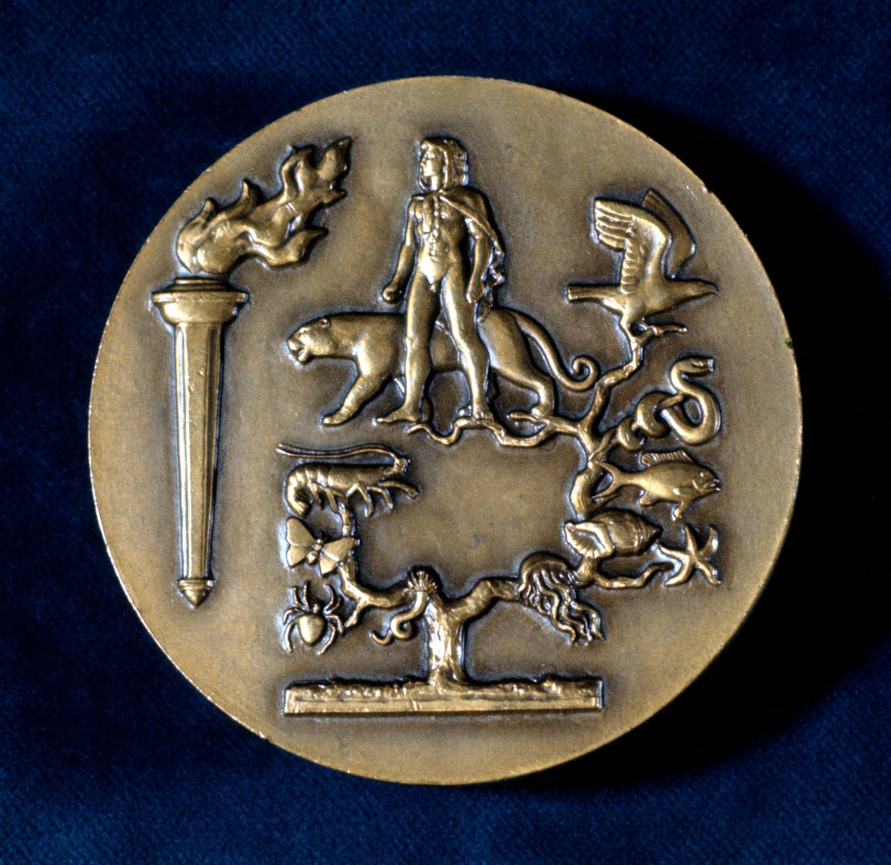 Medalj till minne av Jean Baptiste de Monet, Chevalier de Lamarck, fransk biolog, 1900-talet av Unbekannt