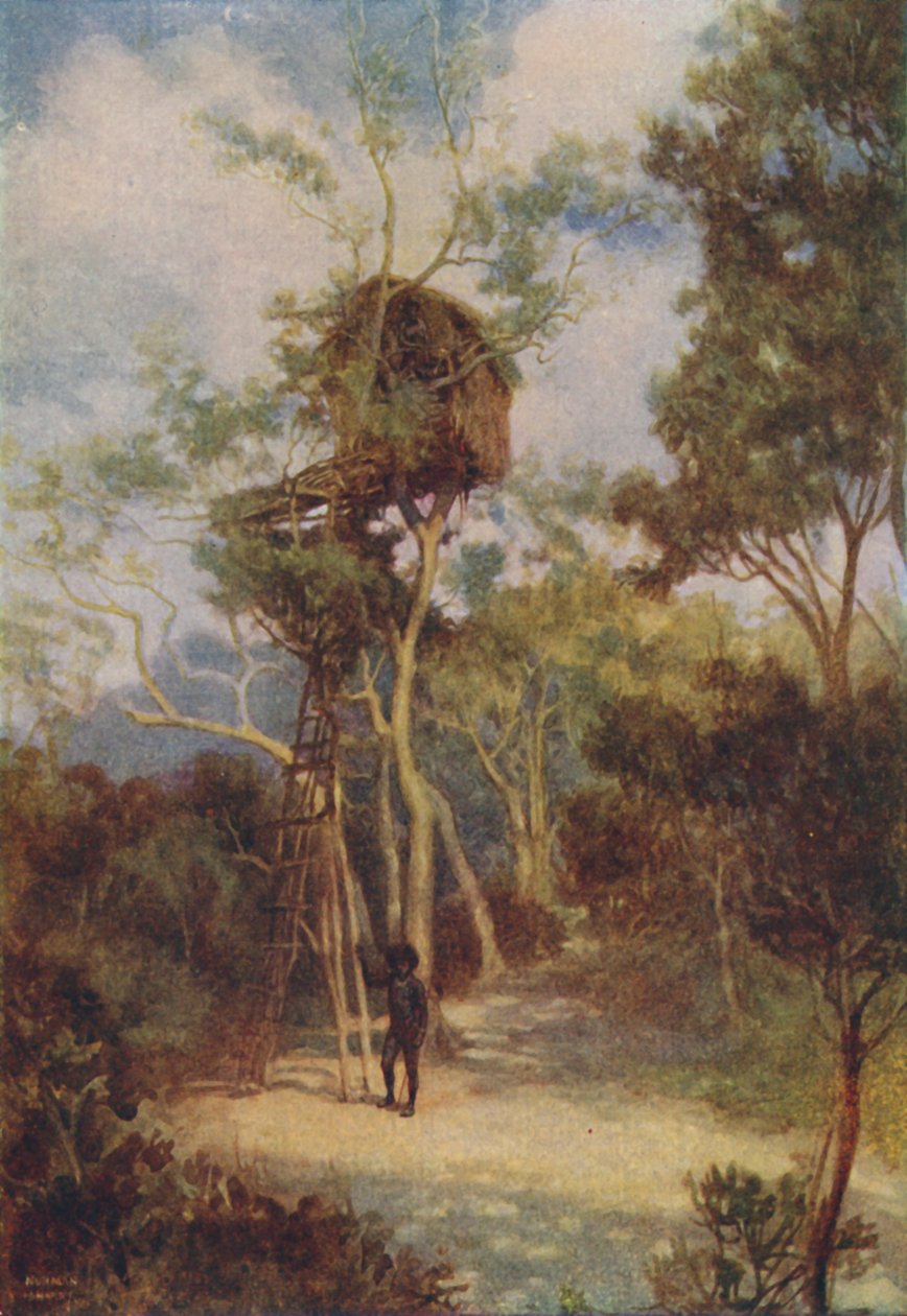 Melanesian Tree-House, 1924 av Unbekannt