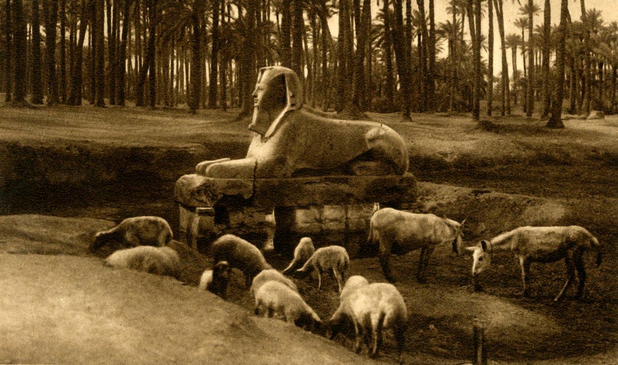 Memphis - Alabastersfinxen, c1918-c1939. av Unbekannt
