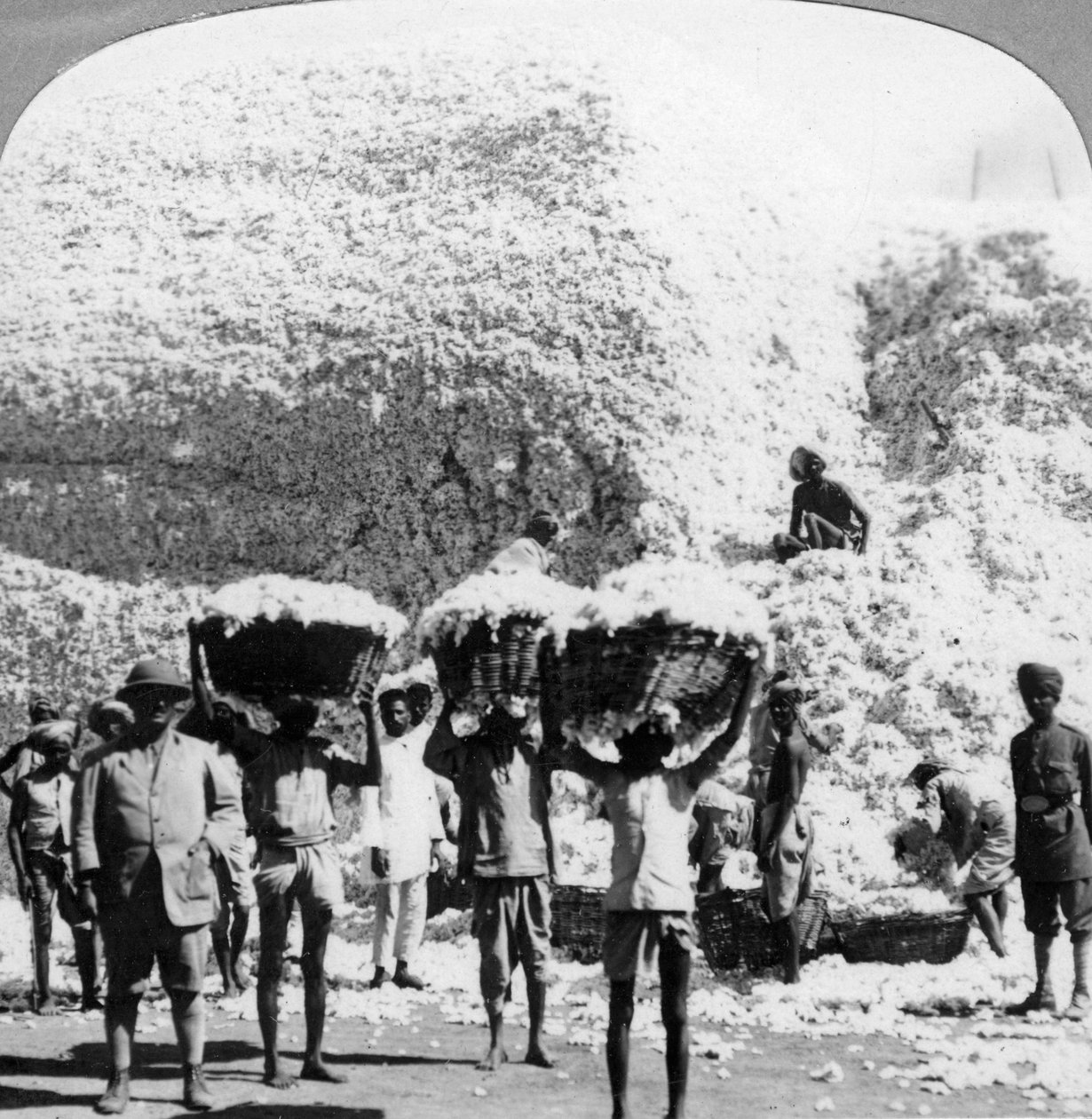 Män som bär korgar av bomull på ett Indore bomullsbruk, Indien, 1900-talet av Unbekannt