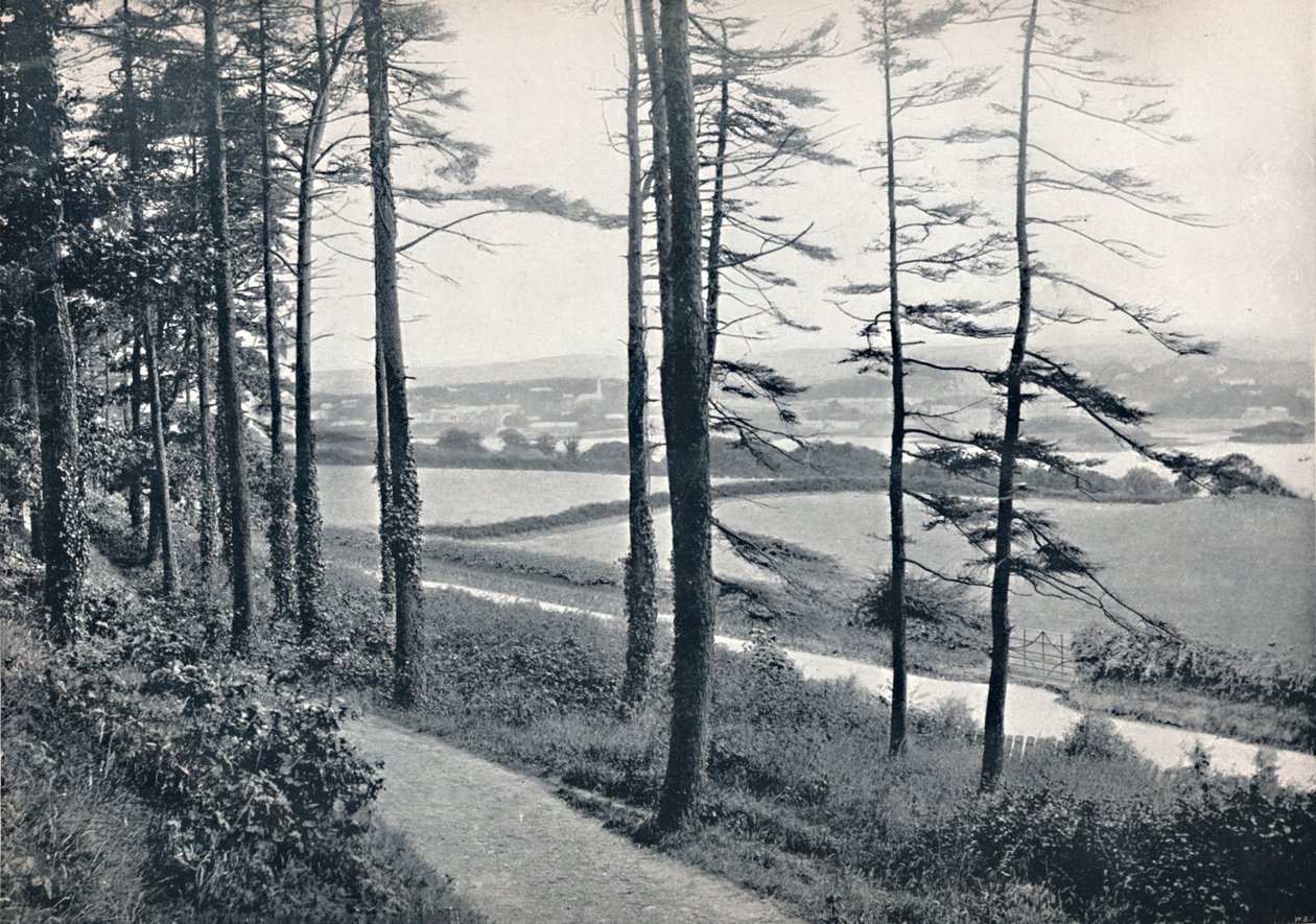Menai - Från Bangor Wood, 1895 av Unbekannt