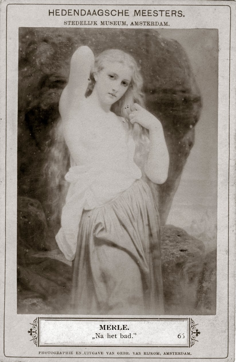 Merle, c1800-talet av Unbekannt