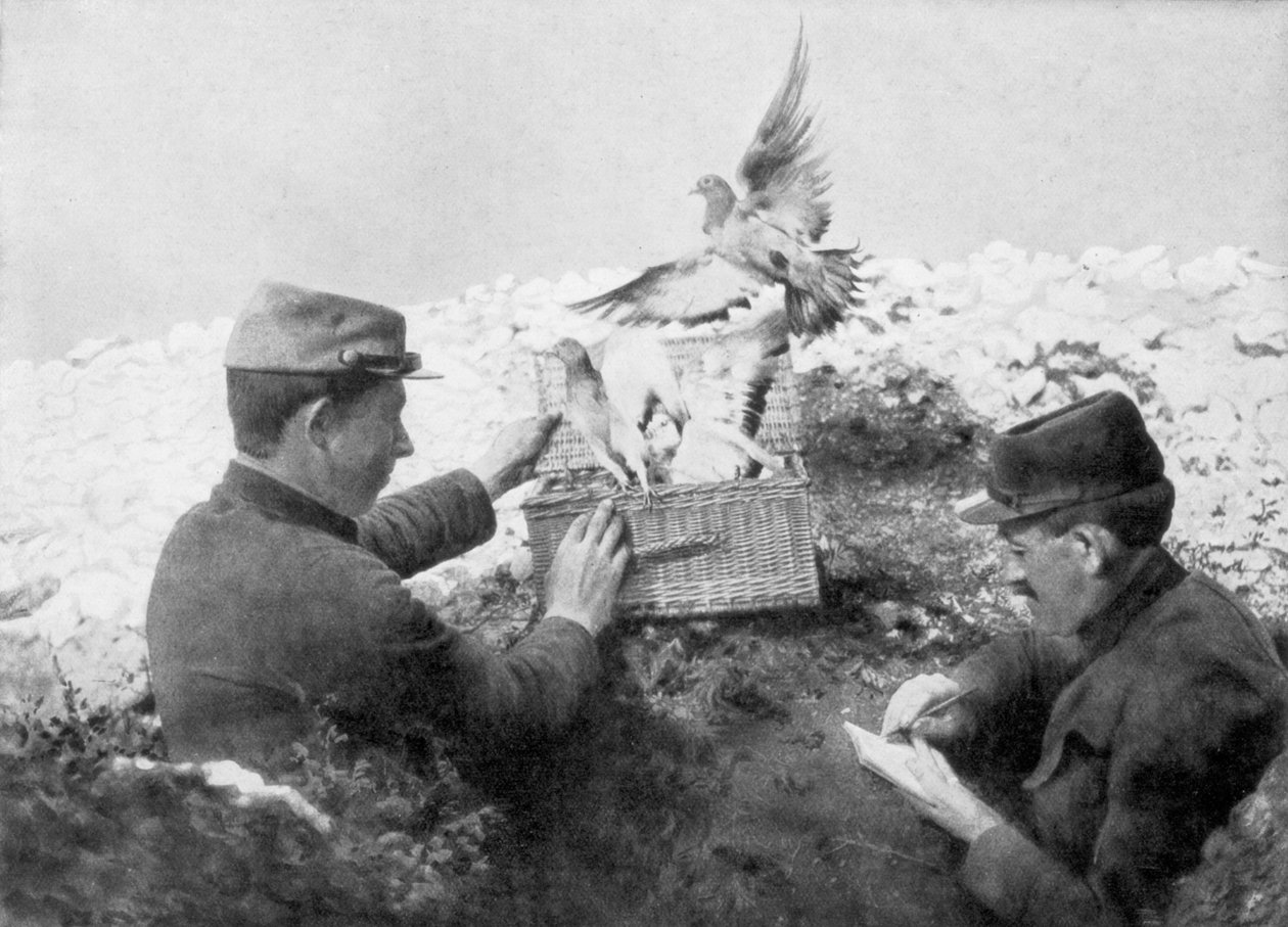 Budduvor som släpptes vid frontlinjen, första världskriget, 1915 av Unbekannt