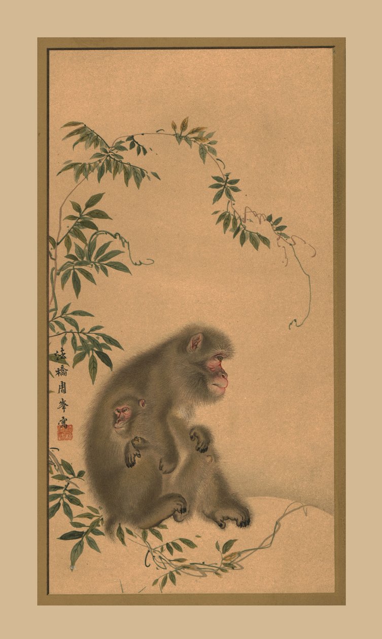 Monkey, 1800-talet, 1886 av Unbekannt