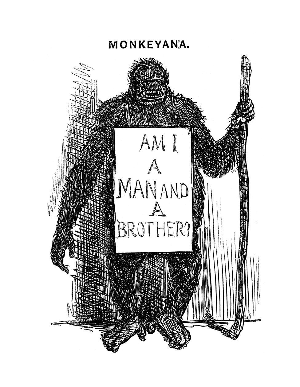 Monkeyana: Är jag en man och en bror, 1861 av Unbekannt