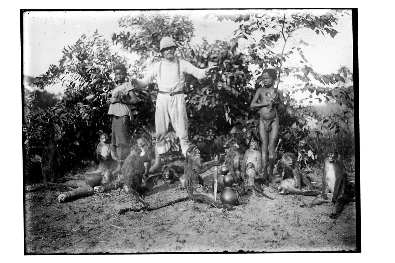 Apor, ca 1910 (s/v foto) av Unbekannt