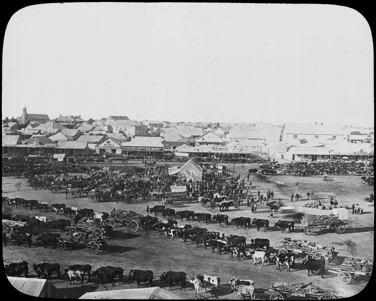 Morgonmarknad, Kimberley, Sydafrika, c1890 av Unbekannt