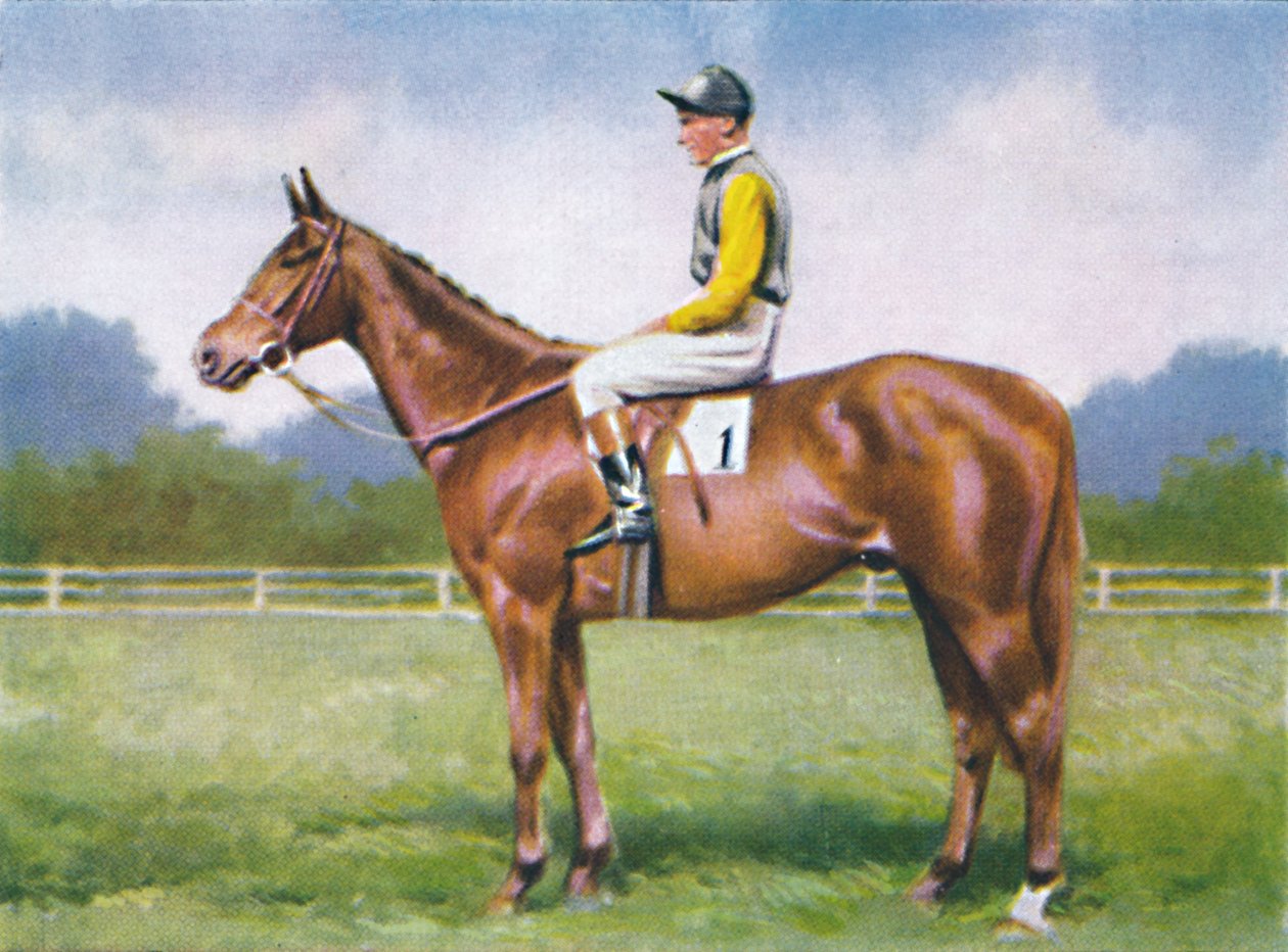 Morsekod, Jockey: D. Morgan, 1939 av Unbekannt
